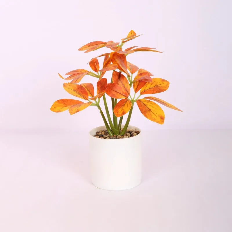 Artificial Schefflera Plants With Pot - Orange media 3