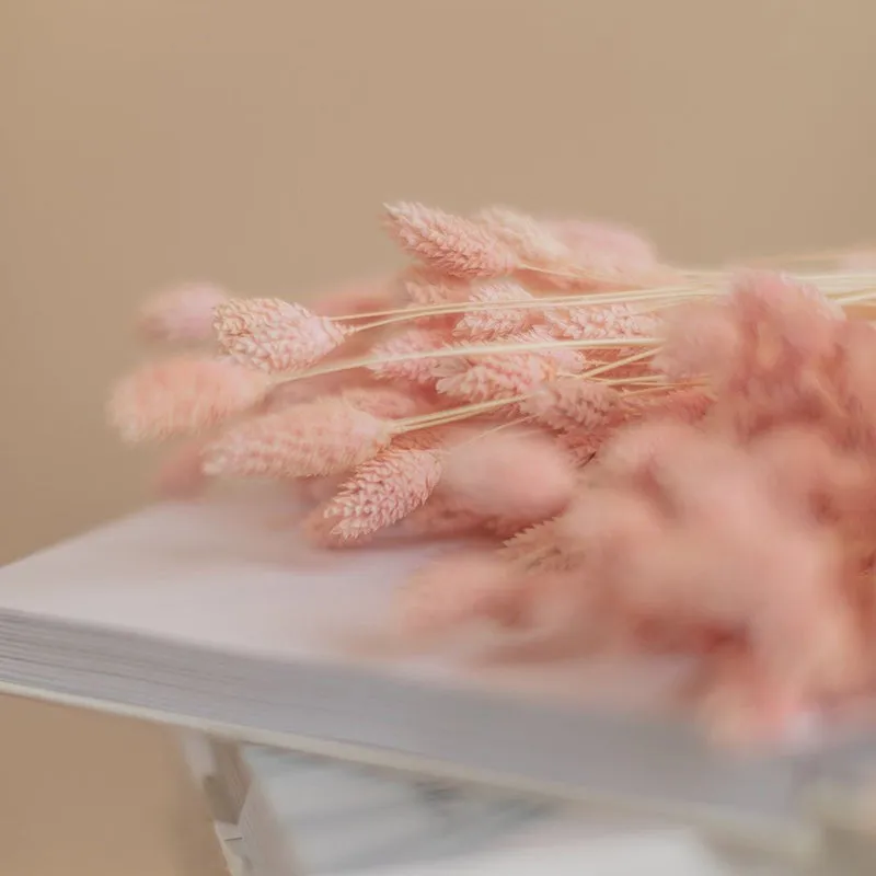 Dried Phalaris Flower Stick (Pink) - Set of Thirty media 3