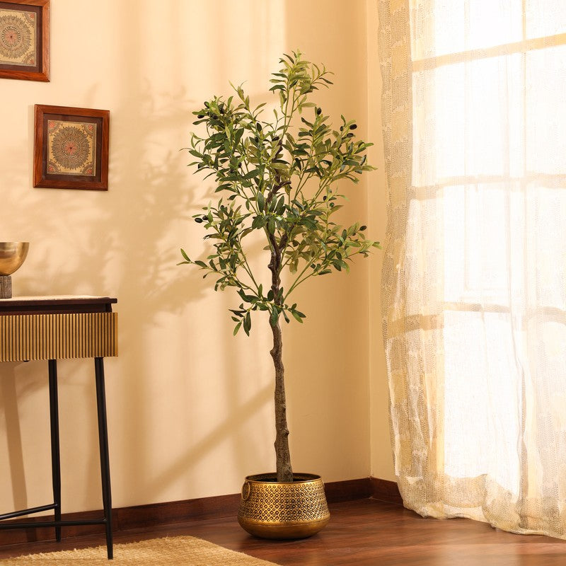 Artificial Olive Plant With Black Plastic Pot - 5 ft media 5