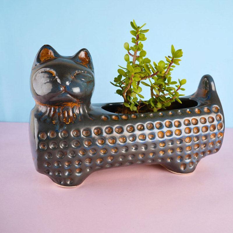 Catto Pose Planter - Blue media 3
