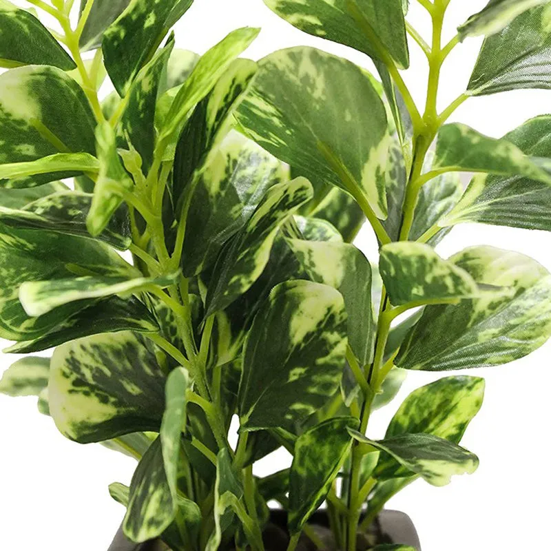Artificial Coin Leaf Bonsai Plant With Ceramic Pot - 0.7 Feet media 4