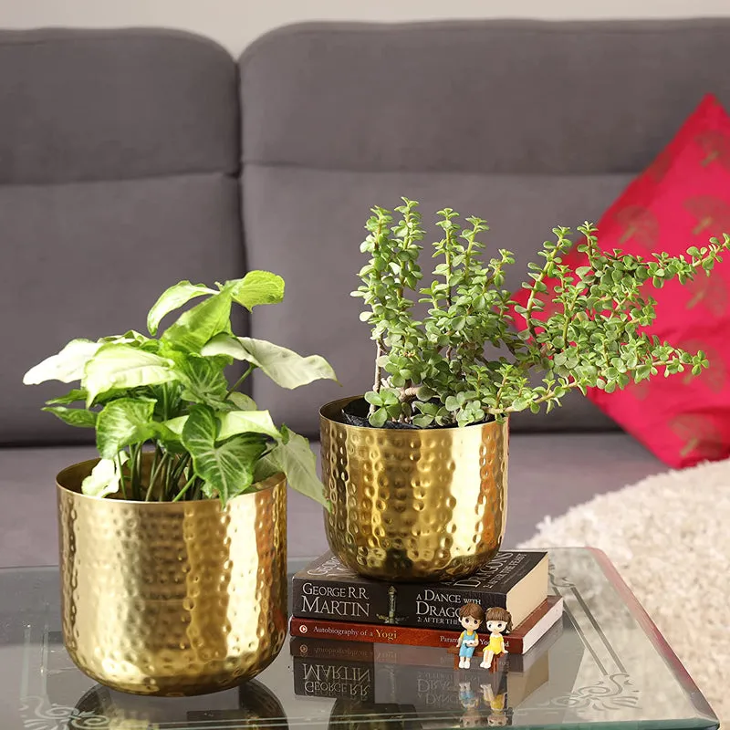 Luxe Glow Hammered Planter (Gold) - Set Of Two media 2