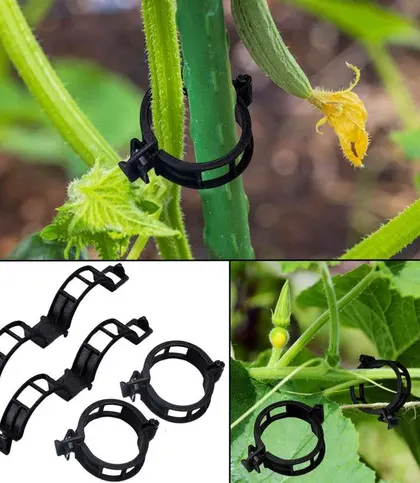 Plastic