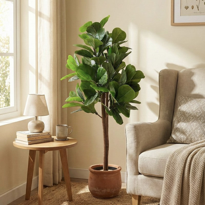 Tropella Fiddle Fig Plant With Black Plastic Pot - 3.9 ft media 4