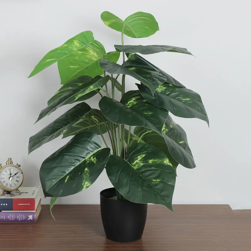 Leaf Line Artificial Plant With Black Plastic Pot - 2.5 Feet media 3