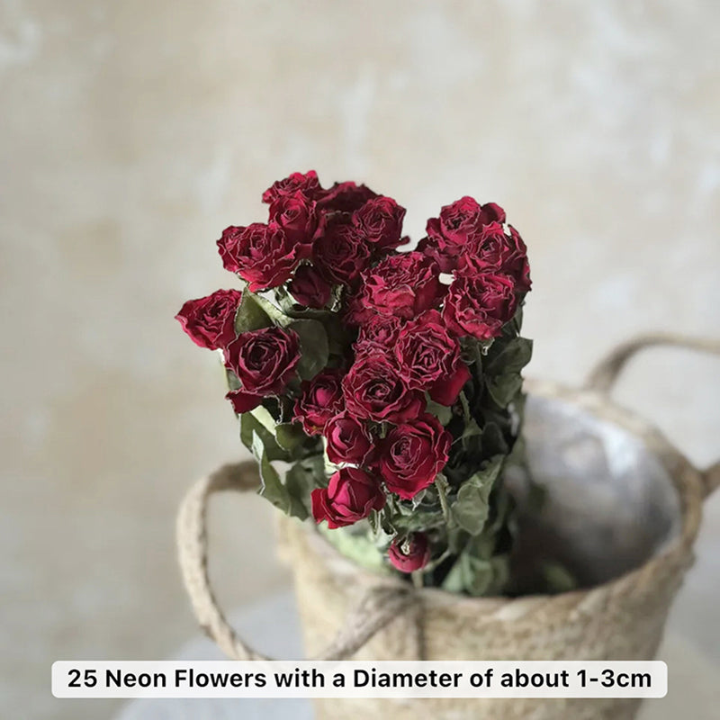 Dried Red Rose Flower Bunch - Set Of Twenty media 6