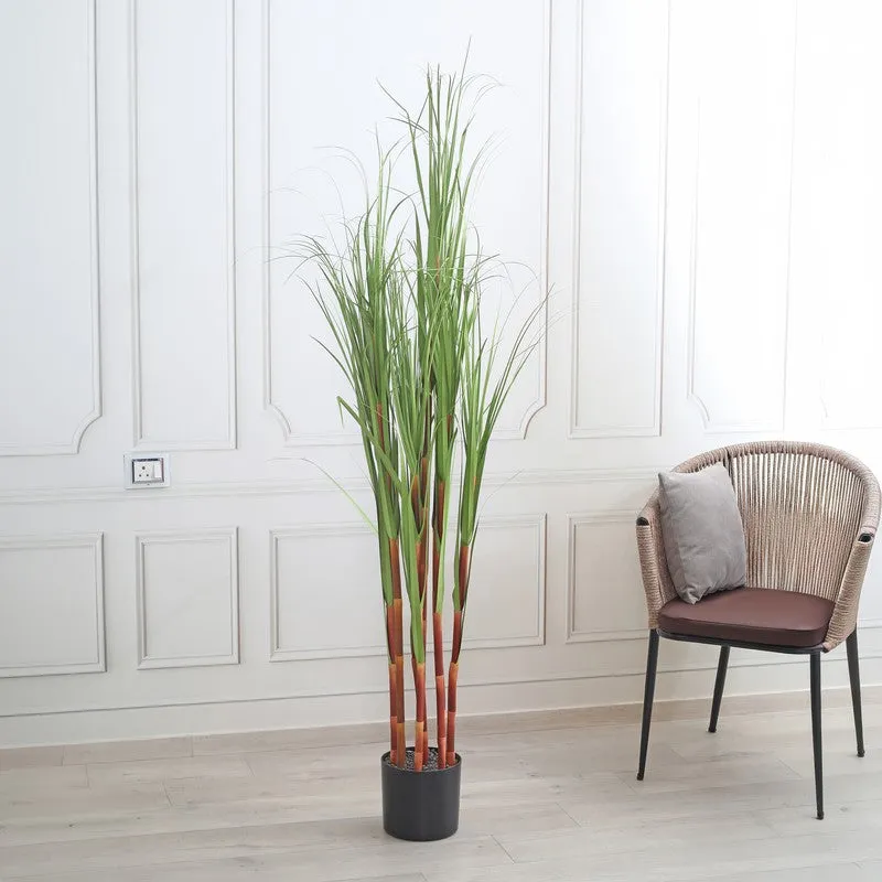 LeafHarmony Artificial Plant With Black Plastic Pot - 5.9 ft media 3
