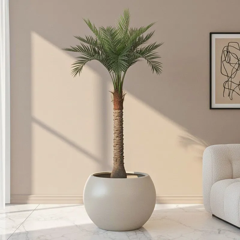 Palmino Artificial Palm Tree With Black Plastic Pot - 5 Feet media 1