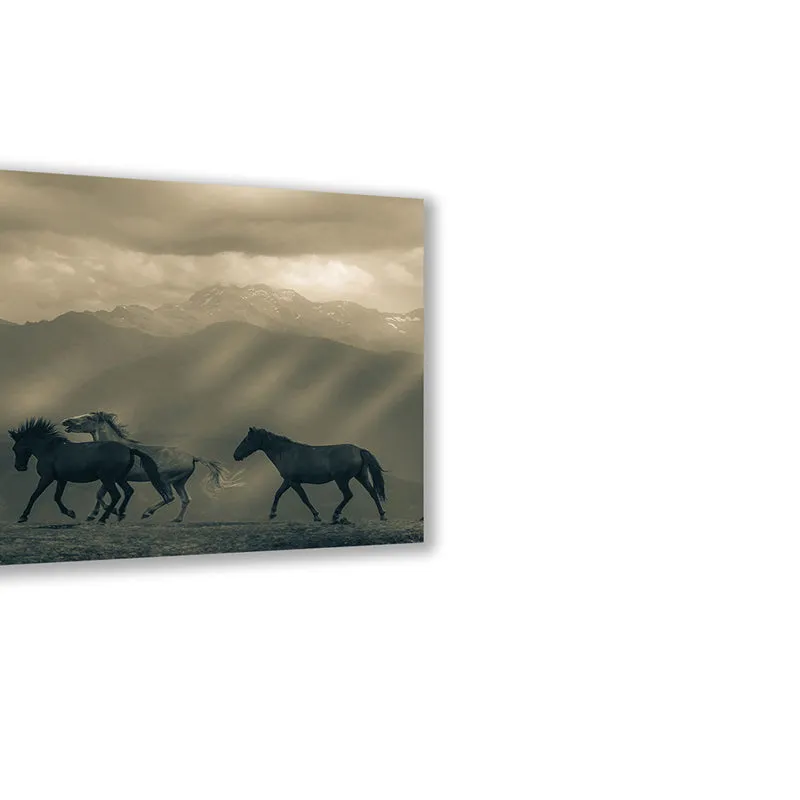 Equine Silhouette Wall Art media 5