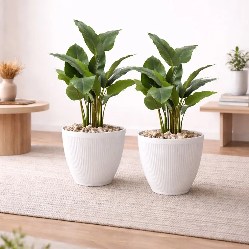 BloomBin Planters (White) - Set Of Two media 2
