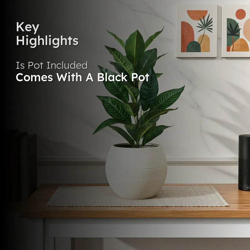 Faux Dark Green Croton Plant With Black Plastic Pot - 2.2 Feet - 2