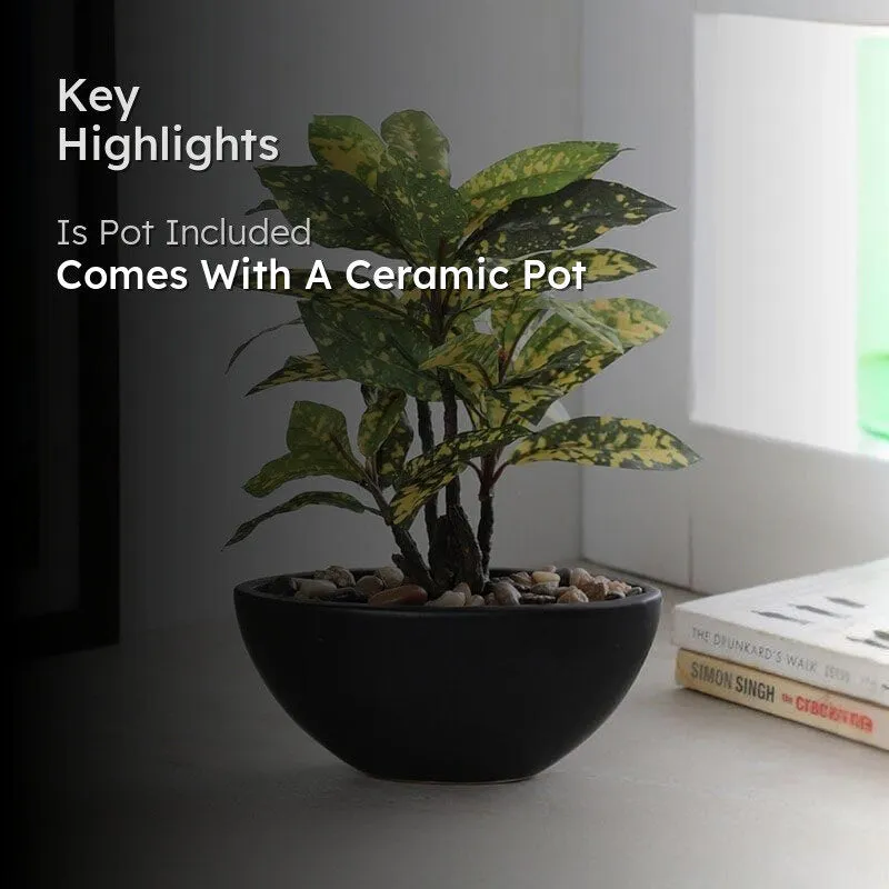 Faux Croton Bonsai In Bowl Pot (29 cms) - Yellow media 2