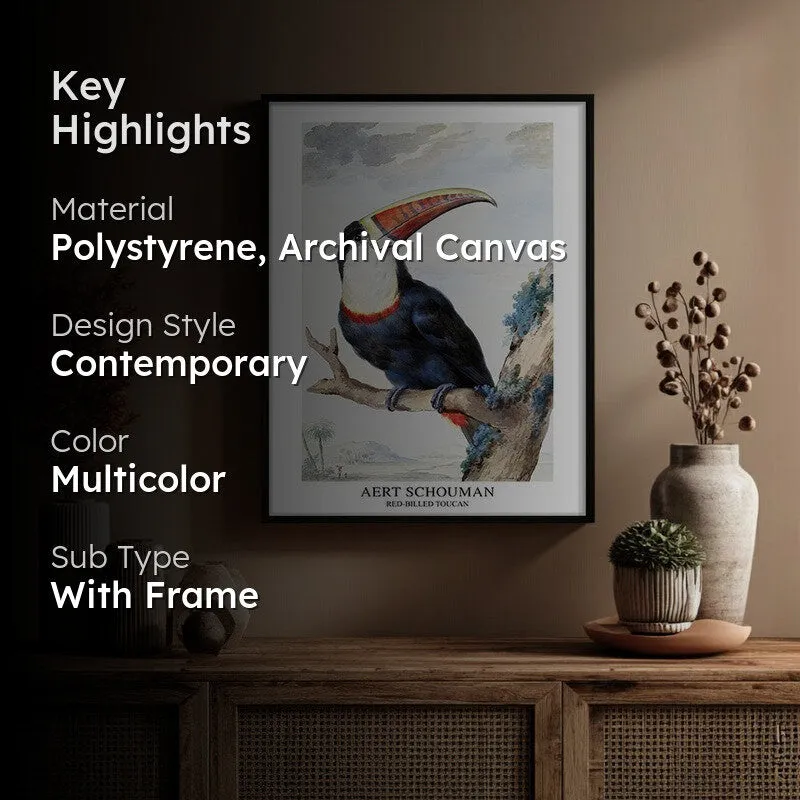 Red Billed Toucan Aert Schouman Archival Canvas Wall Painting - Black Frame media 2
