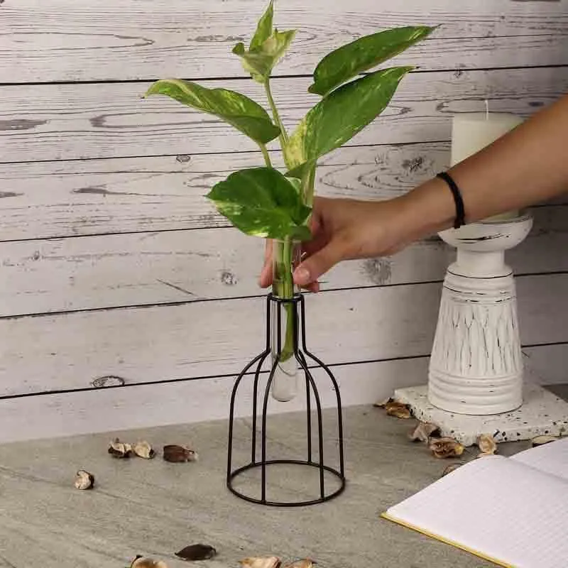 Tracey Testube Outline Planter media 3