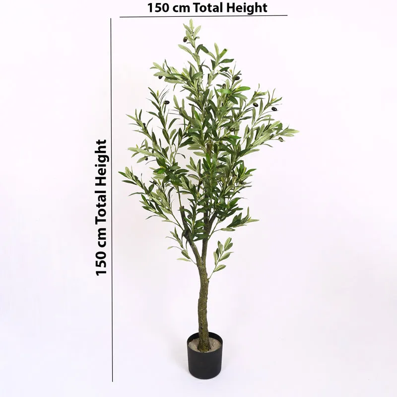 Verdiq Artificial Olive With Black Plastic Pot - 5 Feet media 7