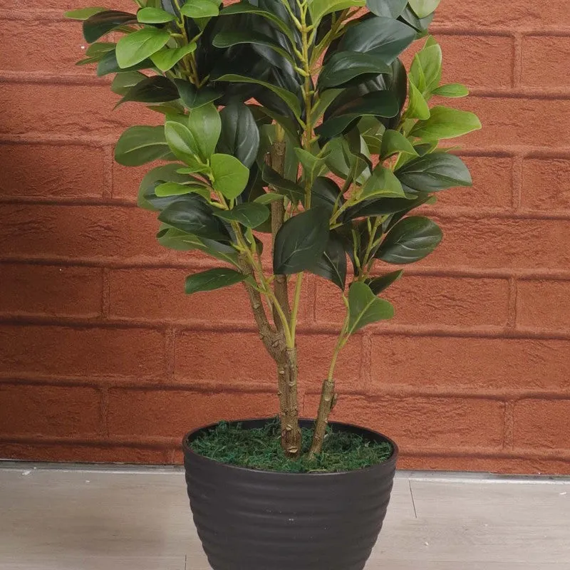 Artificial Peperomia Plant Without Pot - 2 Feet media 4