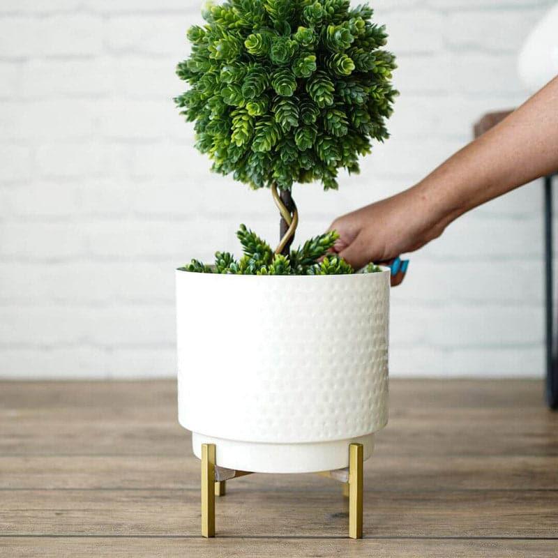 Ettta Troda Planter media 4