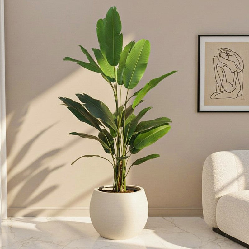 Pure Greens Artificial Plant With Black Plastic Pot - 6.8 ft