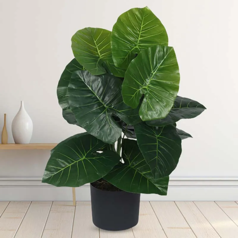 Faux Lush Rubber Fig Plant With Black Plastic Pot - 2.3 Feet media 3