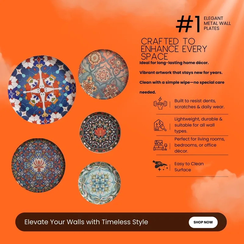 Timeless Mughal Wall Plates - Set of Five media 5