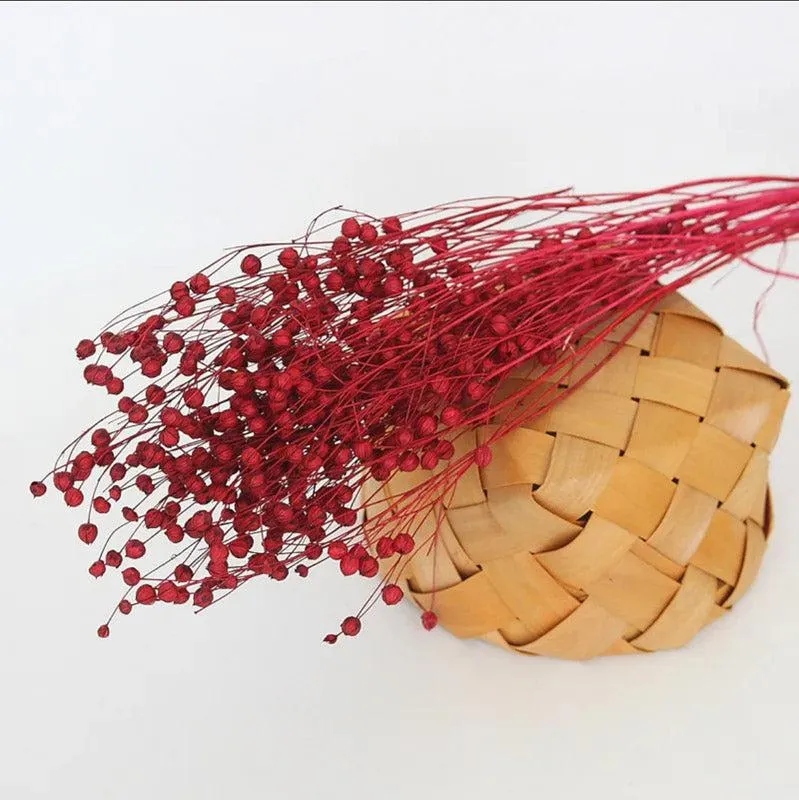 Amora Fax Dried Flower Bunch - Red media 3