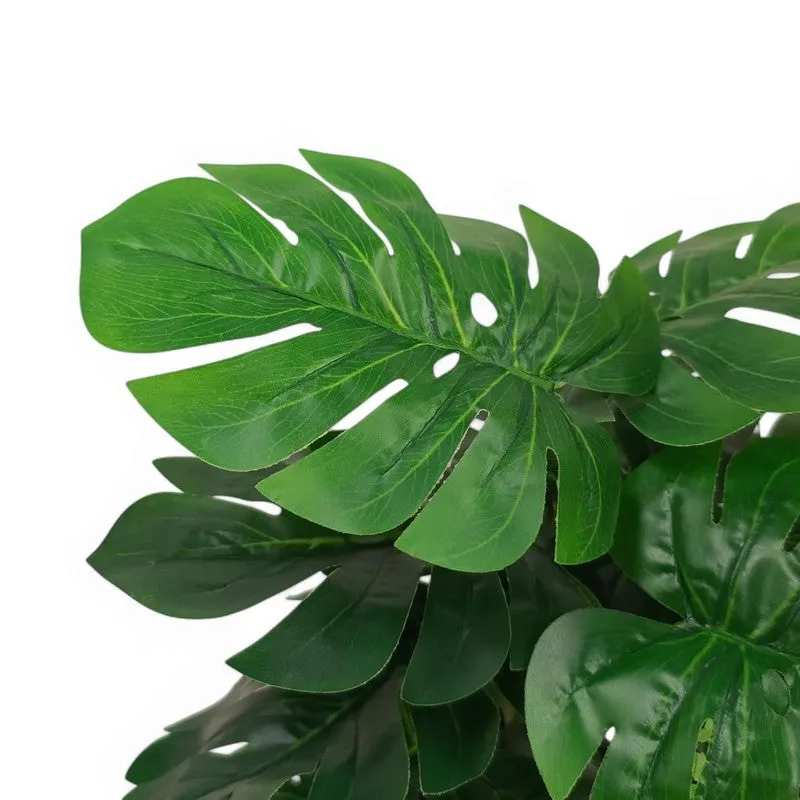 ClayVine Artificial Mostera Plant - 1.5 Feet media 4