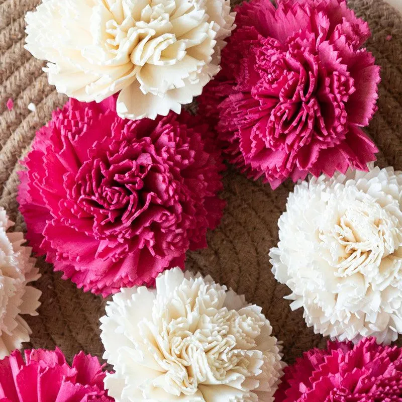 Berta Carnation Sola Flower (Pink & White) - Set Of Ten media 4