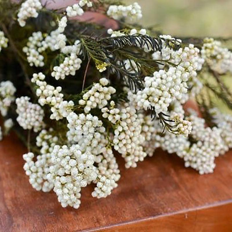 Dried Rice Flower Bunch - Set Of Three media 4