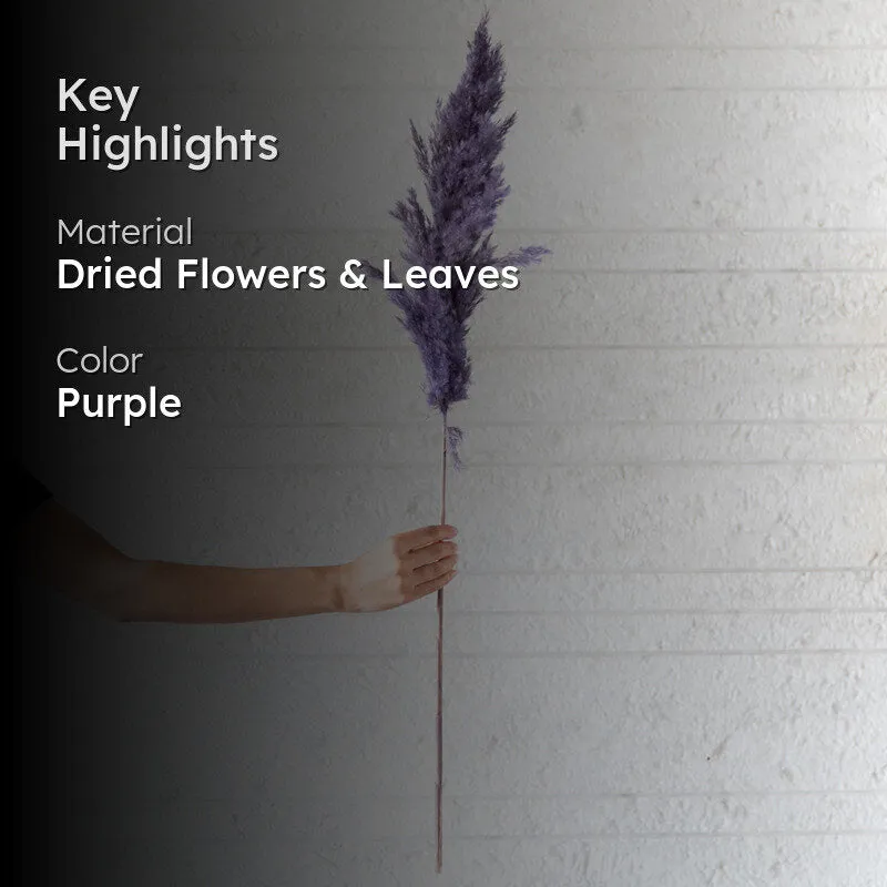 Sittora Pampas Stick (Lavender) - Set Of Ten media 2