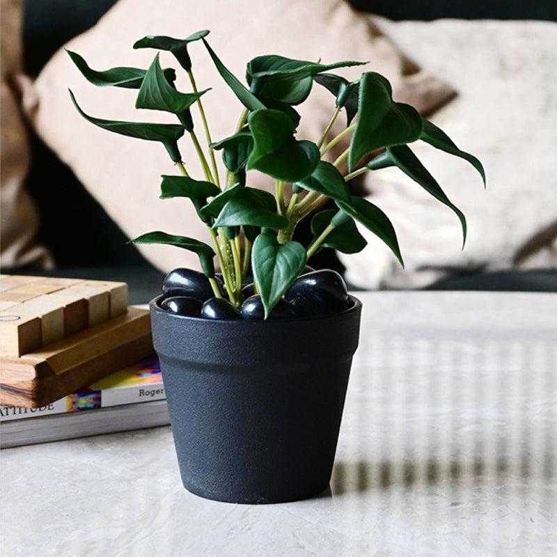 Moniva Artificial Pothos/Money Plant With Black Plastic Pot (Dark Green) - 19 cm media 3