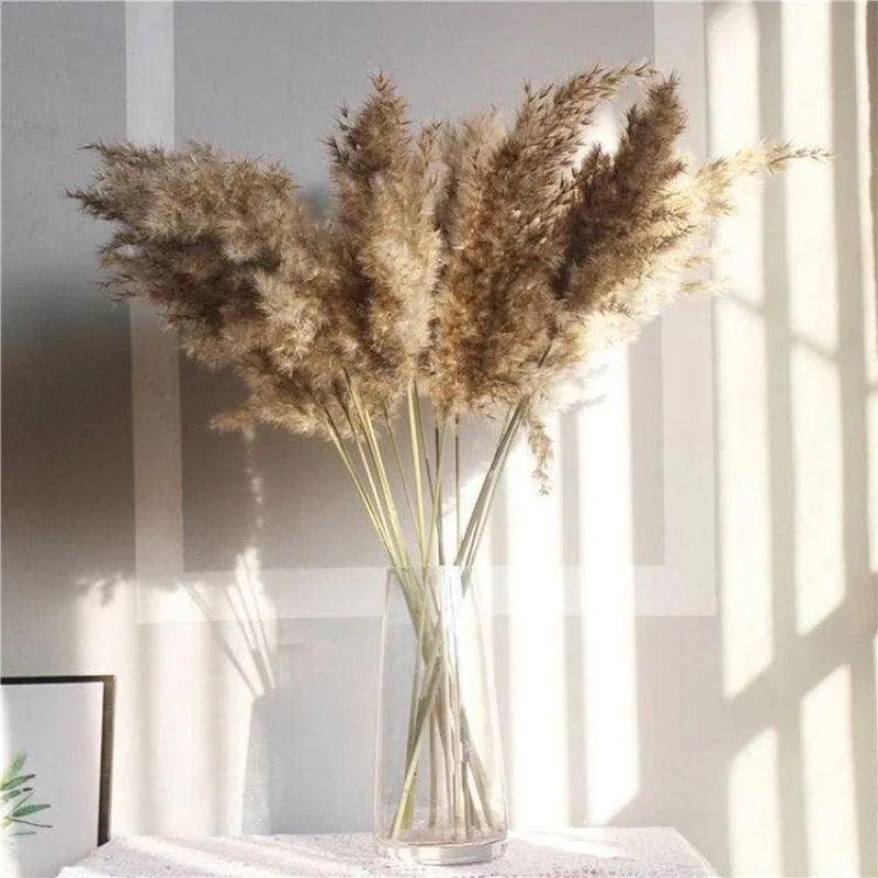 Naturally Dried Pampas Stems (Brown) - Set Of Ten media 3