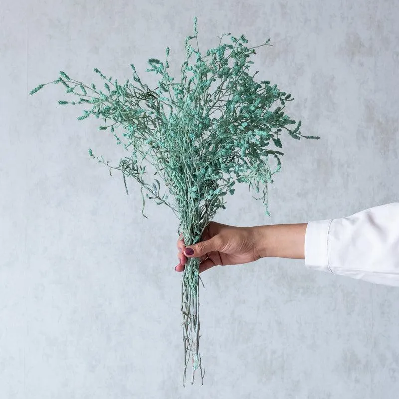 Ariel Dried Statice Flower Bunch - Aqua media 1