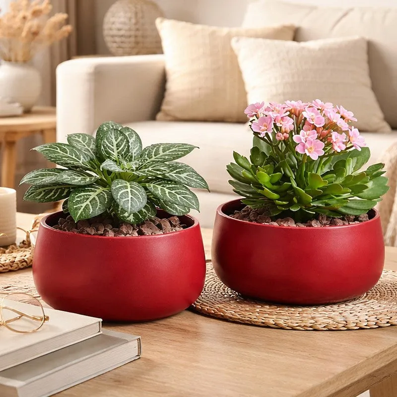 MinimalAura Pots & Planters (Red) - Set of Two media 3
