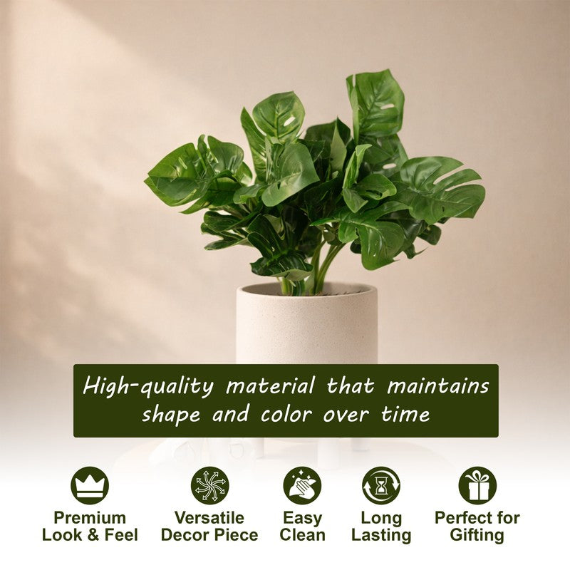 Monstera Luxe Plastic Artificial Plant - Set Of Two media 8