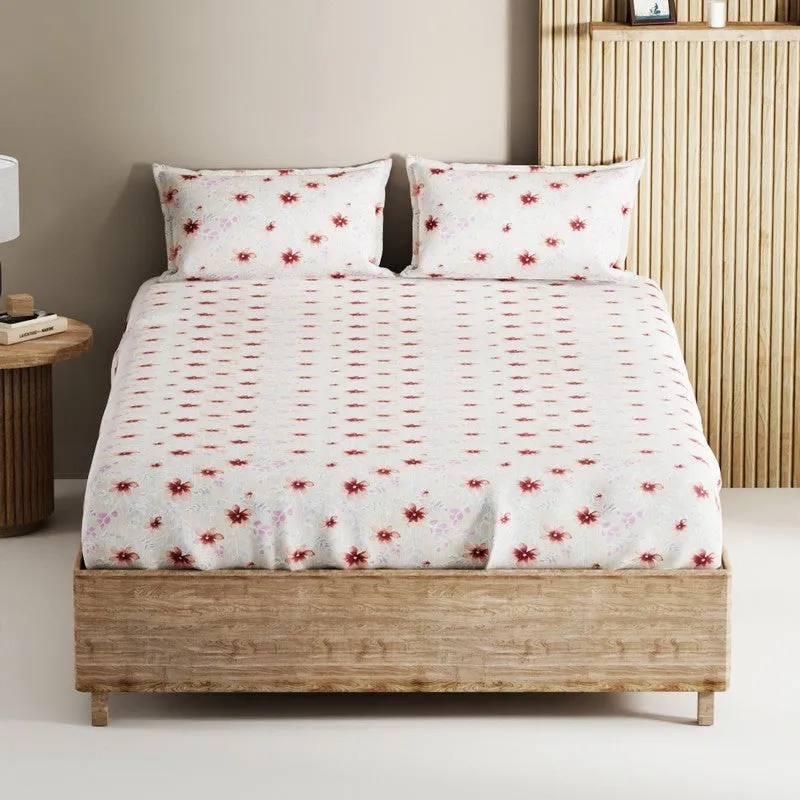 Nyric Cotton Bedsheet (Peach) - 144 TC media 3