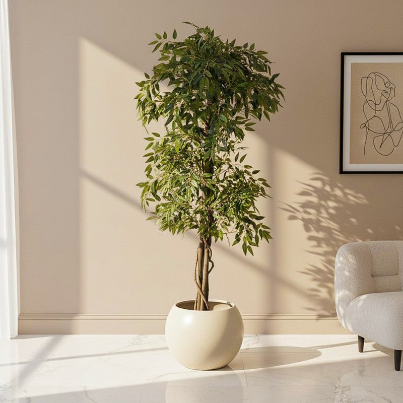 Grovera Artificial Smilax With Black Plastic Pot - 6 Feet