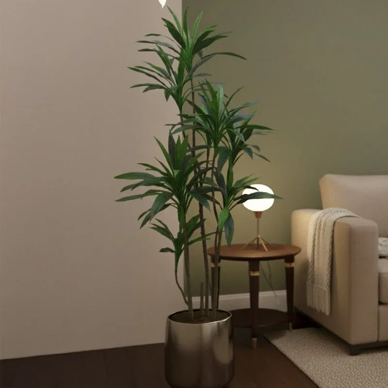 Lifestra Artificial Dracaena Green Tree With Black Plastic Pot 5.6 ft media 5