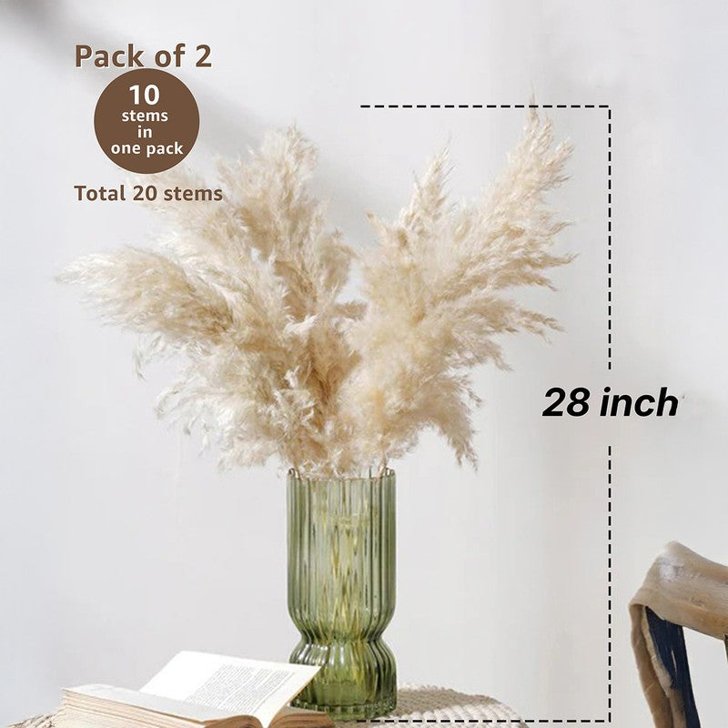 Savannah Artificial Pampas Stem (Off White) - Set Of Four media 8