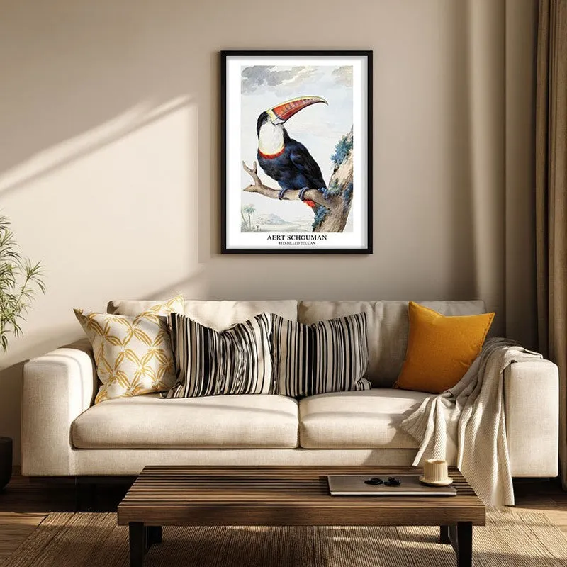 Red Billed Toucan Aert Schouman Archival Canvas Wall Painting - Black Frame media 3
