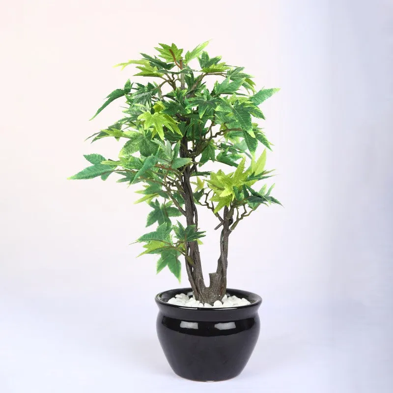 Artificial Green Bonsai Plant With Ceramic Pot - 1 Feet media 5