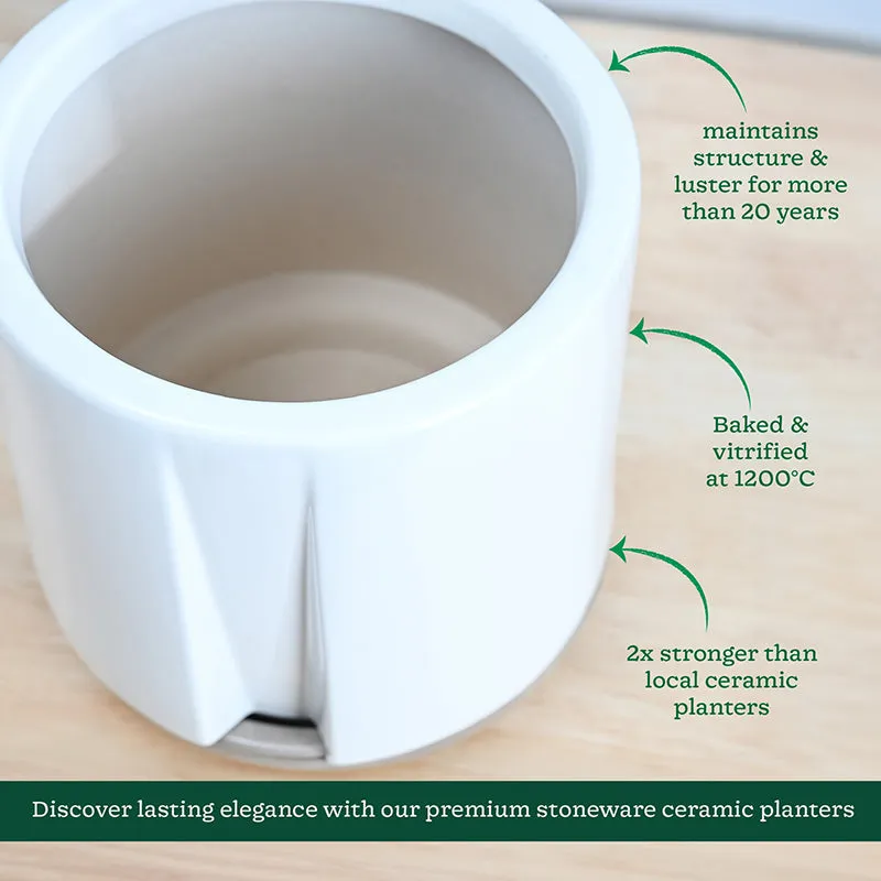 Ugaoo Duke of Drainage Ceramic Planter - White media 5
