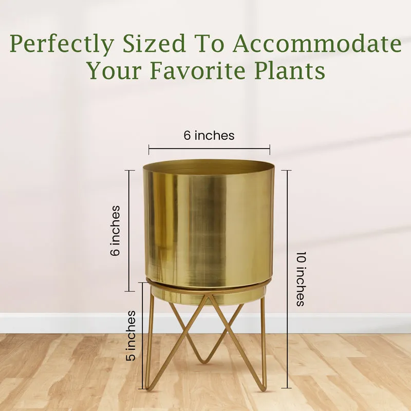 Root Rise Elle Gold Planter With Stand media 3