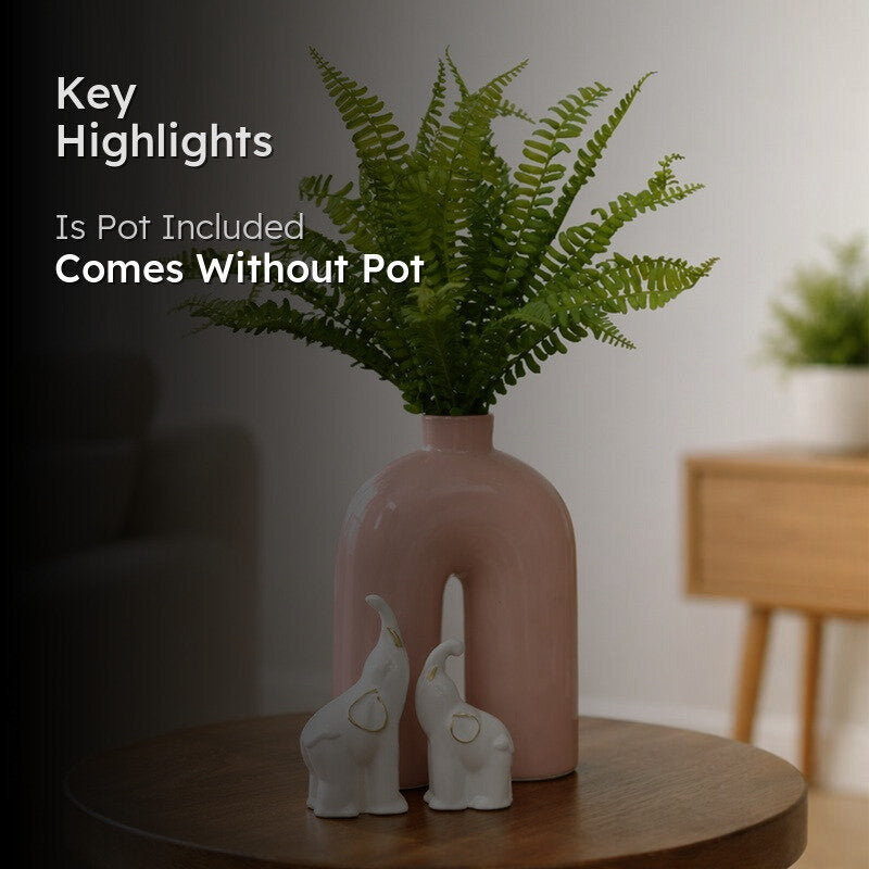 Fernique Plastic Artificial Plant - Set Of Two media 2