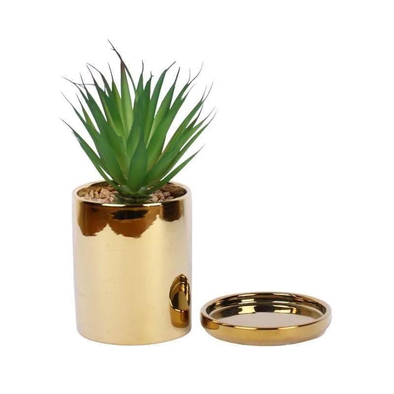 Faux Aloe Vera In Pot With Coaster (20 cms) - Big media 3