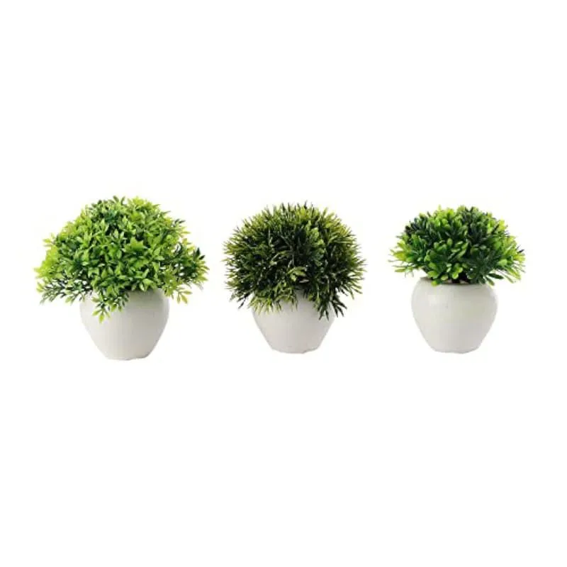 Selo Faux Artificial Plant In Apple Pot (8 cms) - Set Of Three media 3