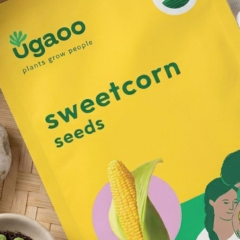 Ugaoo Sweetcorn Seeds media 3