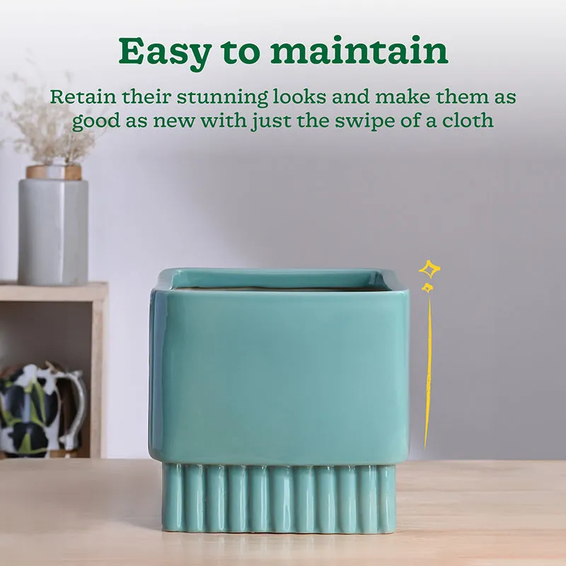 Ugaoo Sleepy Sprout Square Ceramic Planter - Blue media 5