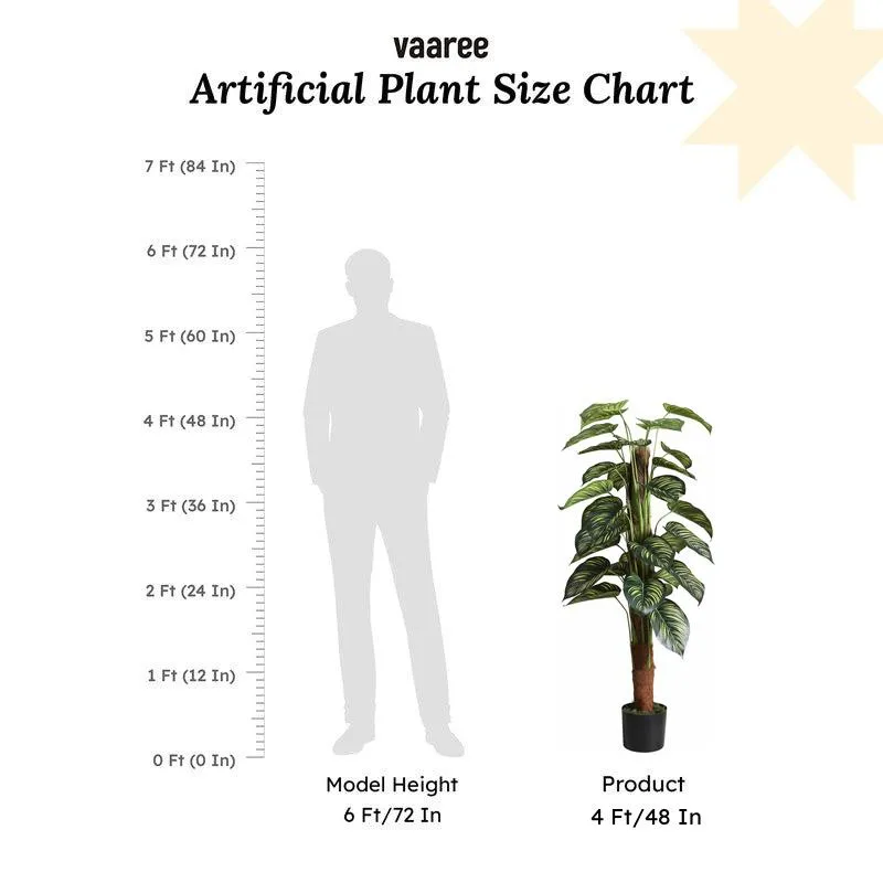 Faux Lush Peperomia Plant With Black Plastic Pot -  4 Feet media 6
