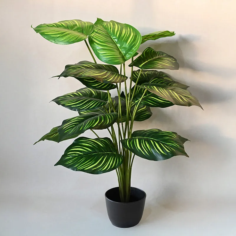 Faux Everlasting Alocasia Plant With Black Plastic Pot - 74 cm (2.4 ft) media 4