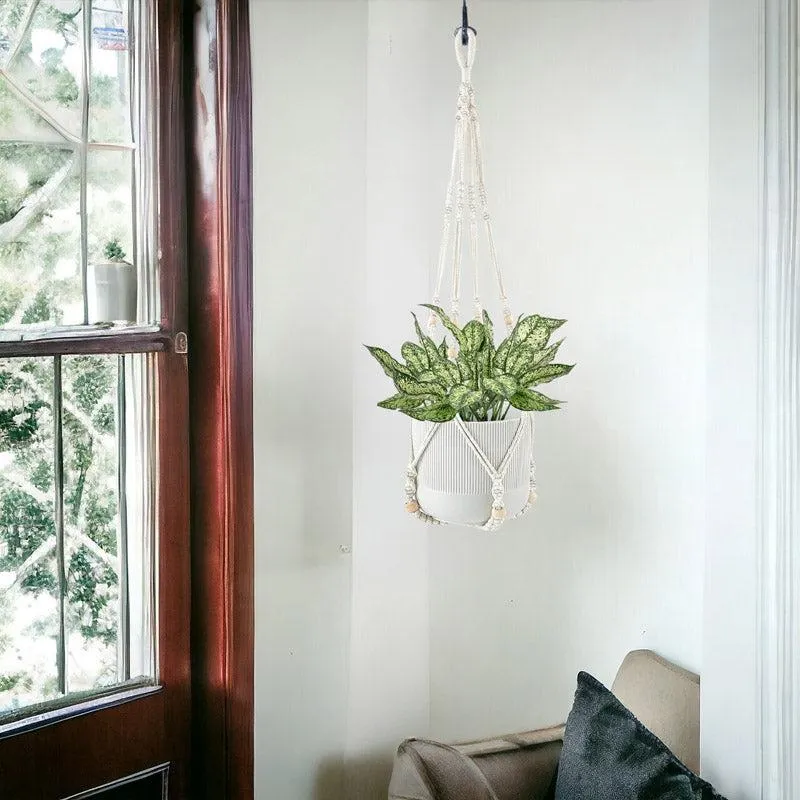 White macramé plant hanger holding a leafy plant beside a window